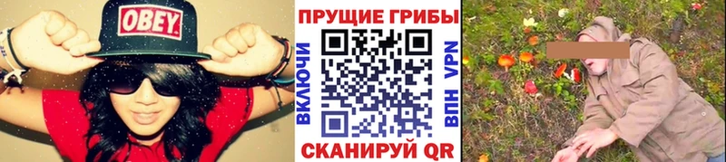 Псилоцибиновые грибы Cubensis  Стрежевой 